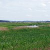Tour 13: Darß - 2